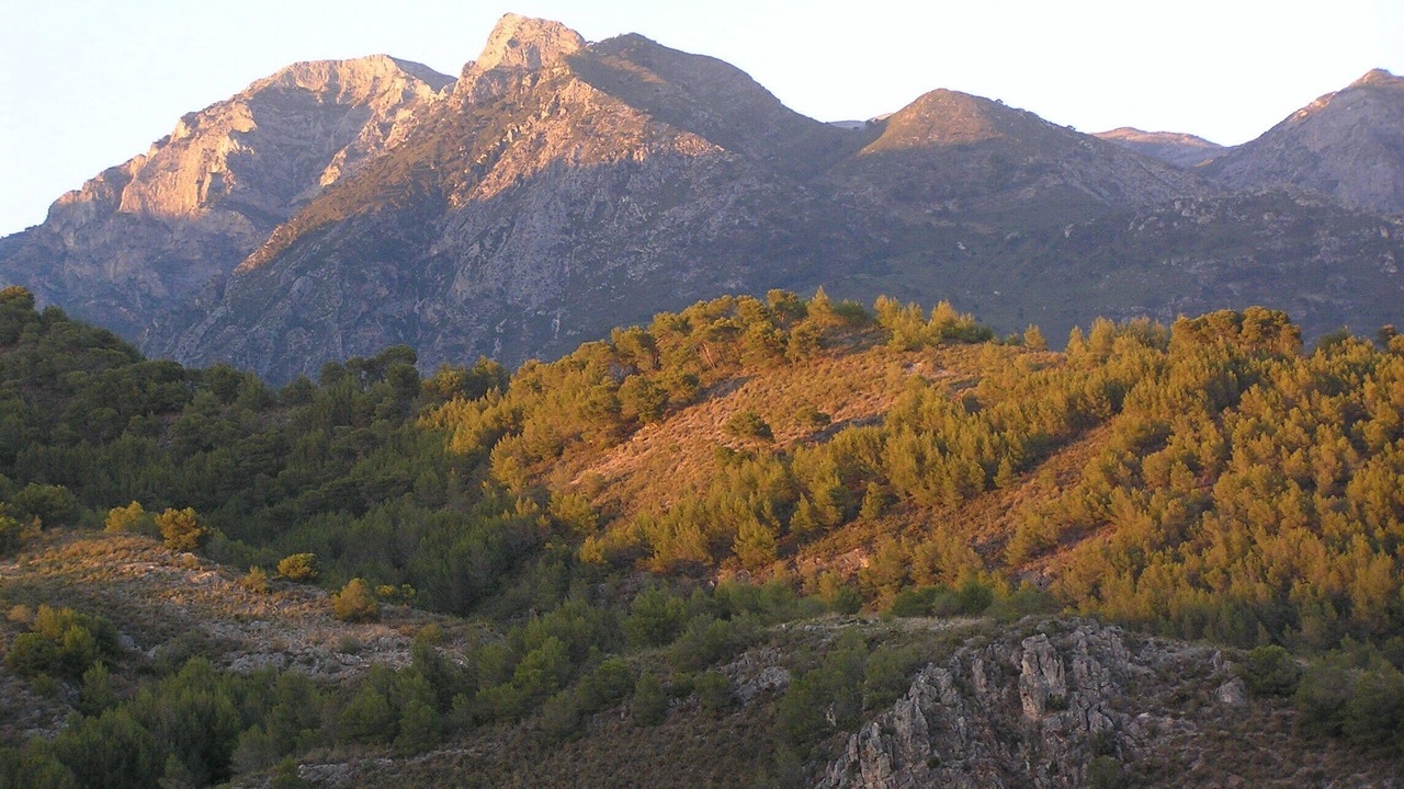 Photo of Others in Frigiliana