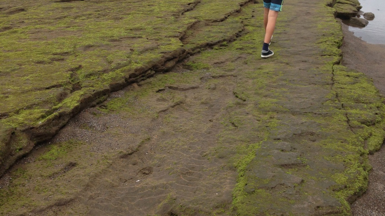 Photo of Others in Santiago del Teide