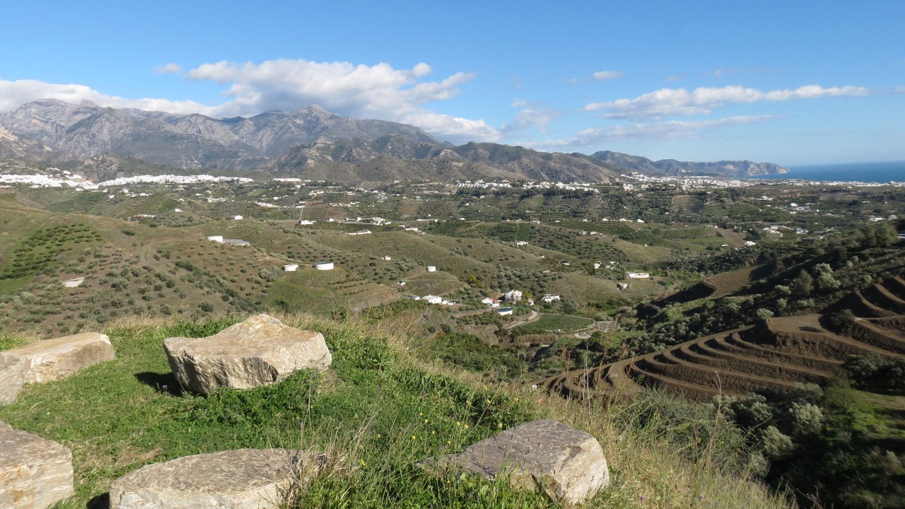Photo of Others in Torrox