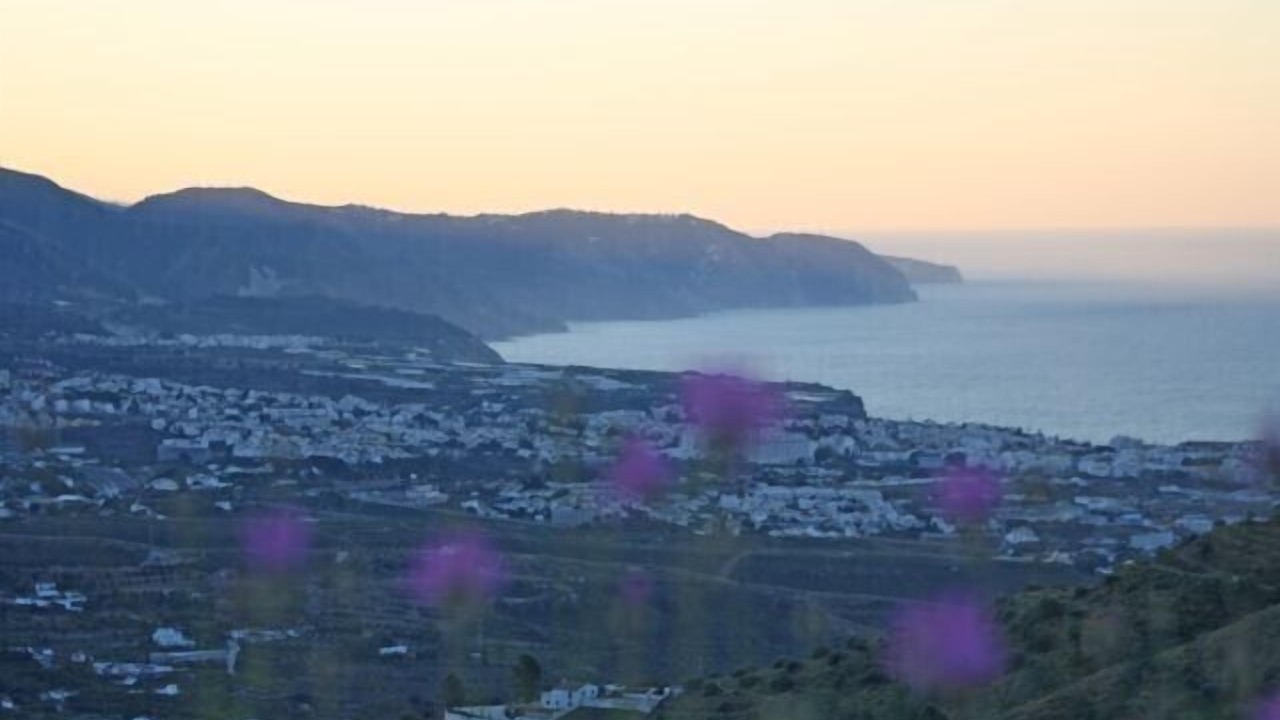 Photo of Others in Torrox
