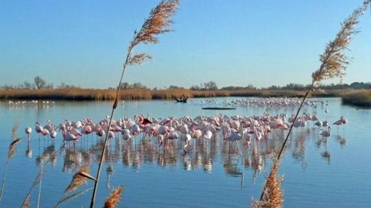 Photo of Outdoor in Poulx