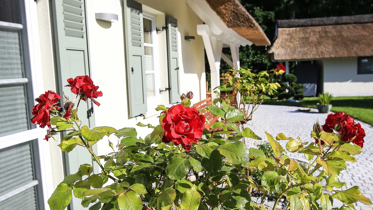 Photo of Outdoor in Glowe
