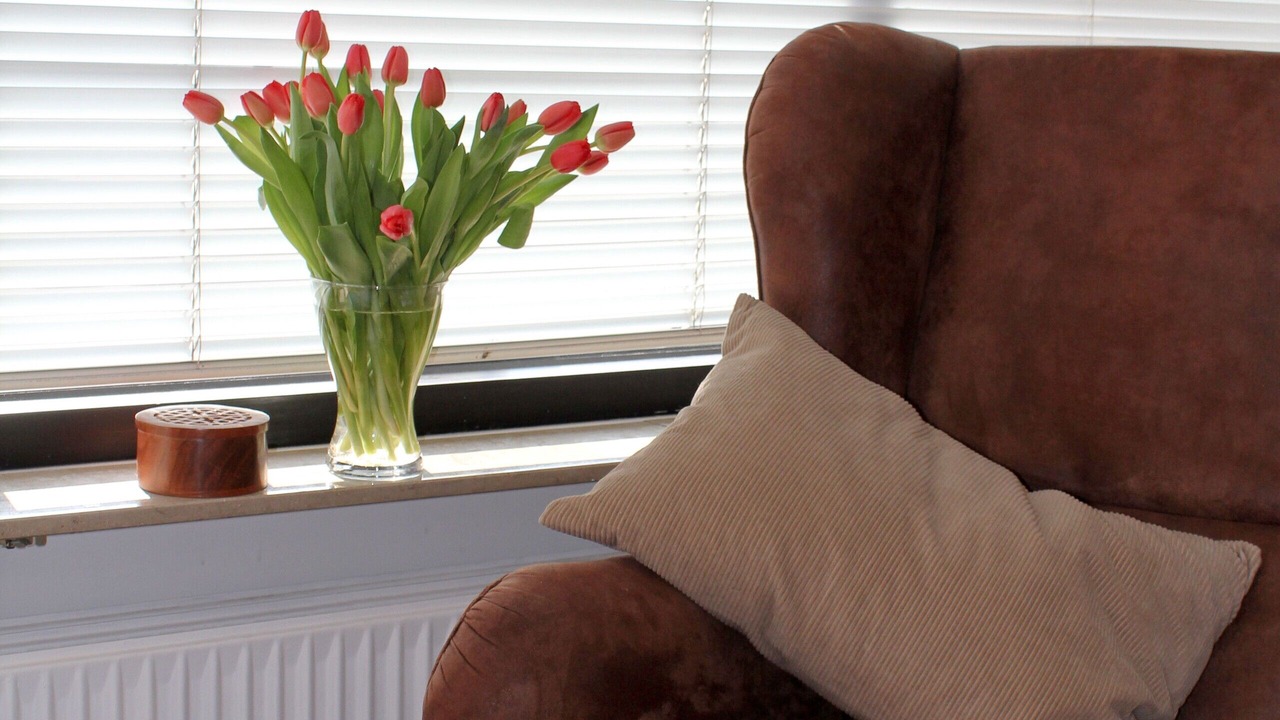 Photo of Livingroom in Busum