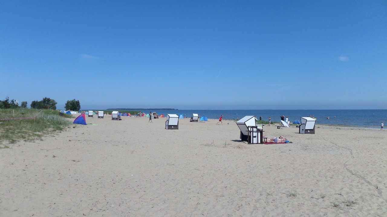 Photo of Others in Freest