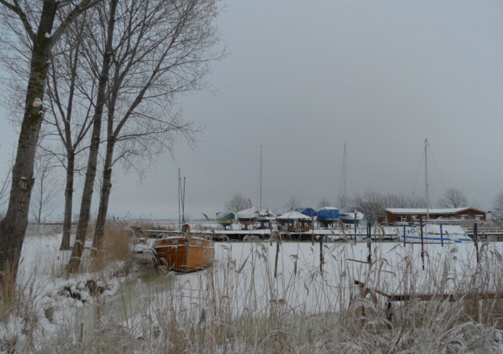Photo of Others in Freest