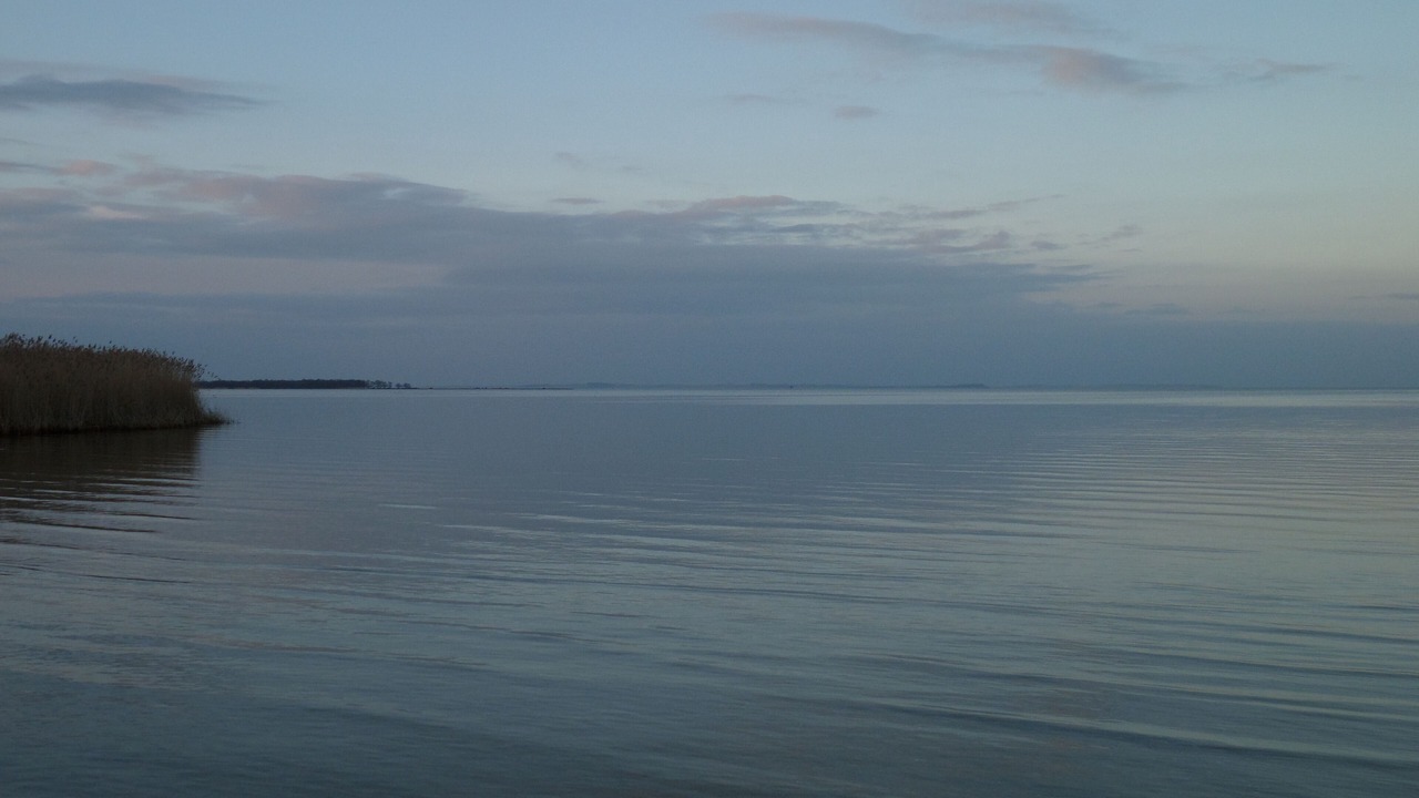 Photo of Others in Freest
