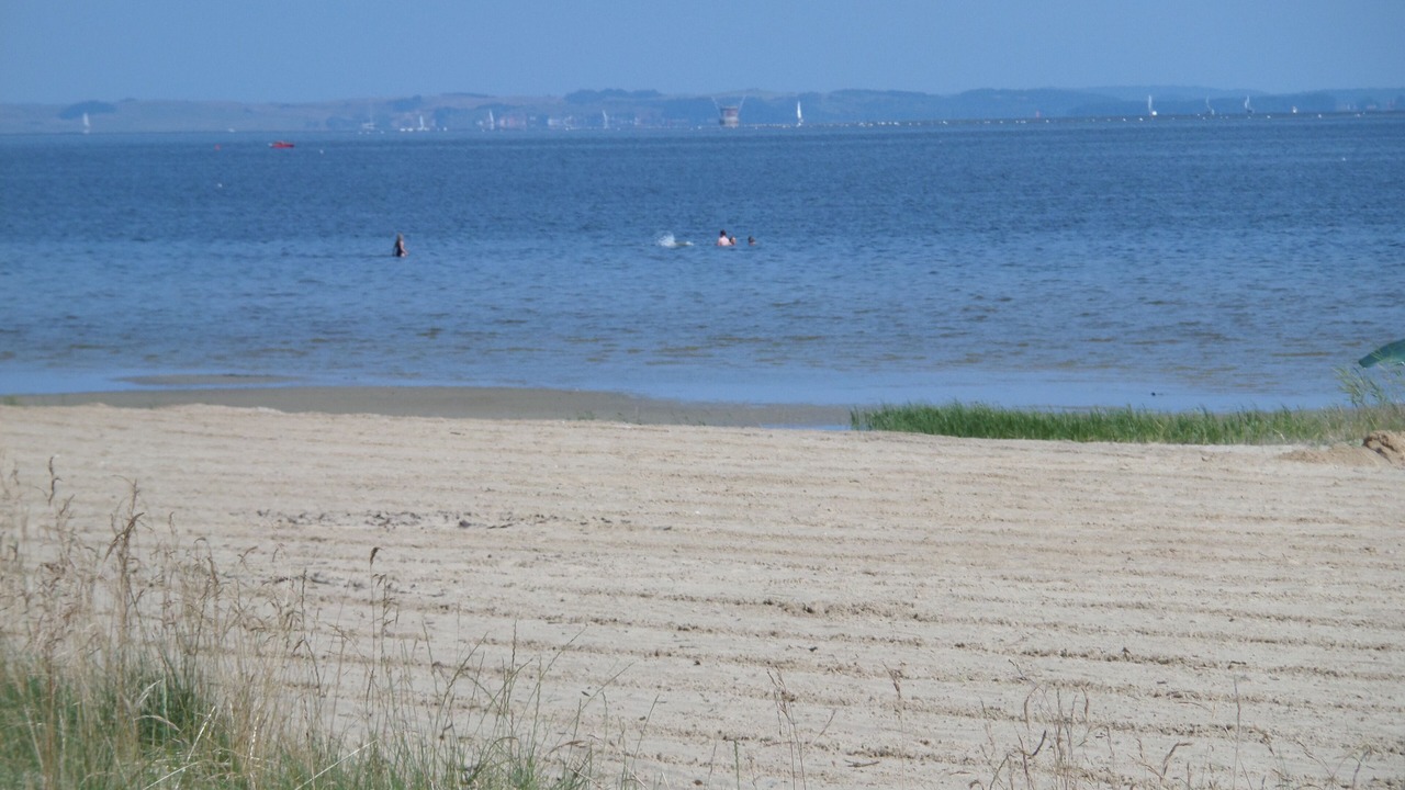 Photo of Others in Freest