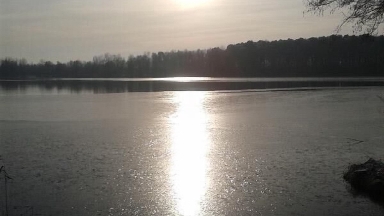 Photo of Others in Falkensee