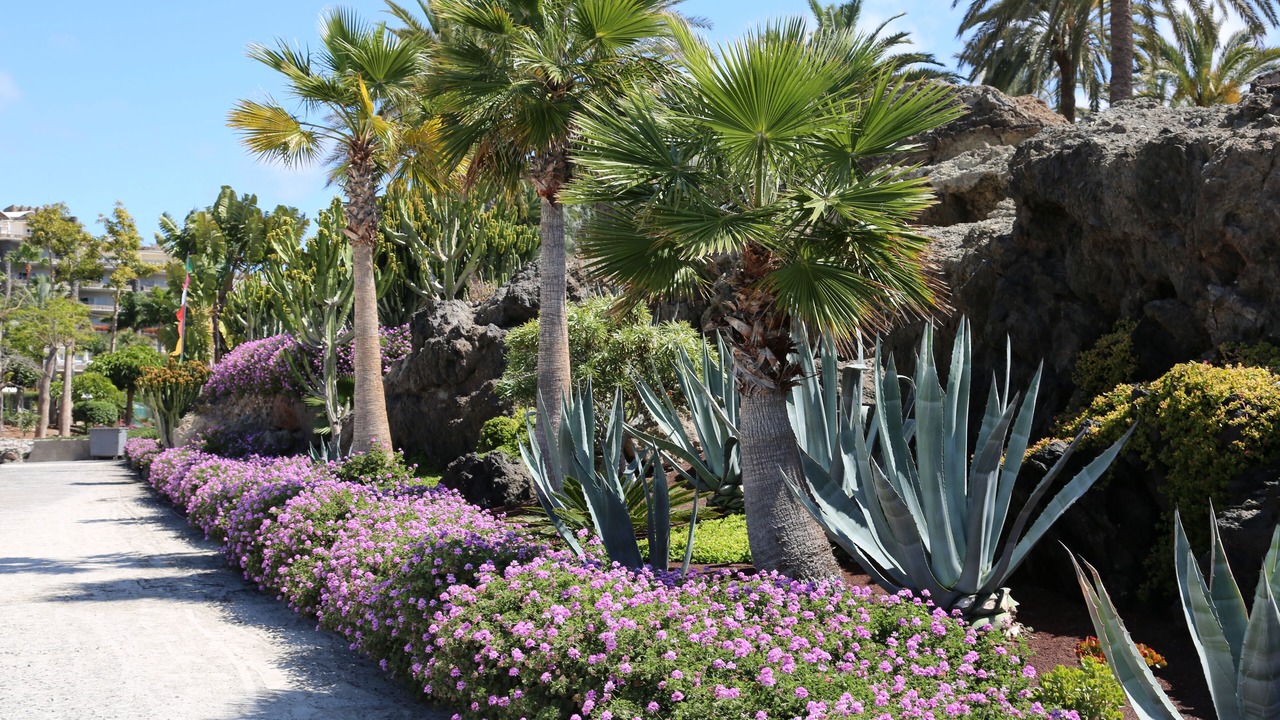 Photo of Outdoor in Arguineguin