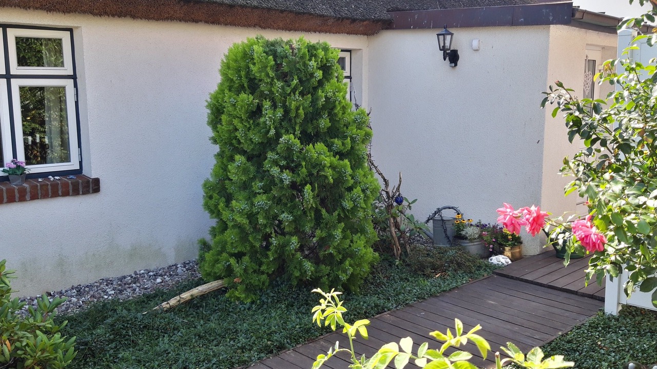 Photo of Outdoor in Spandowerhagen