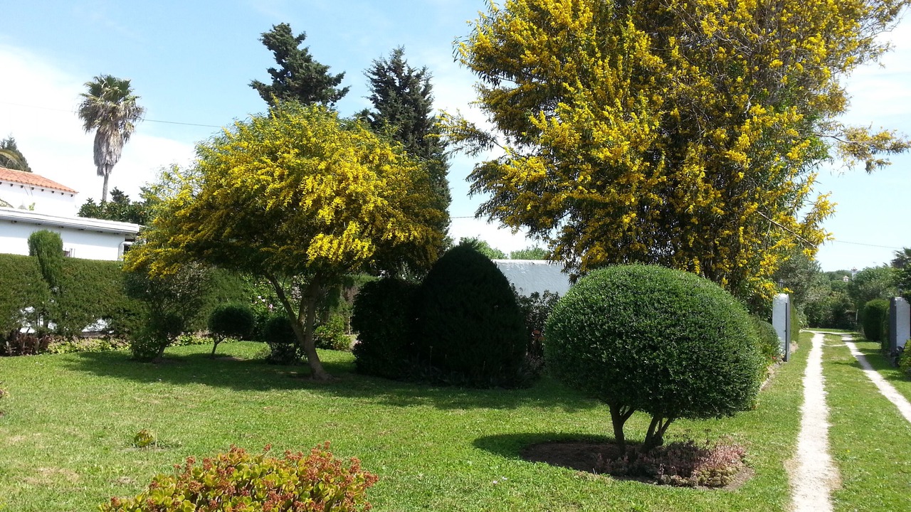 Photo of Outdoor in Zahora