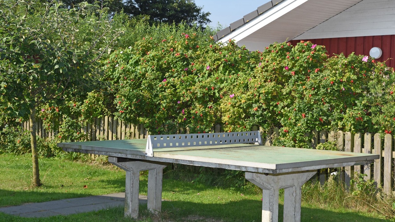 Photo of Outdoor in Wesselburenerkoog