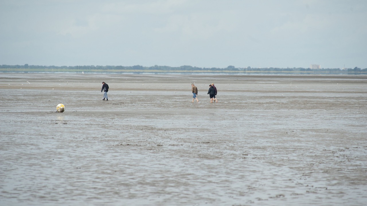 Photo of Others in Wesselburenerkoog