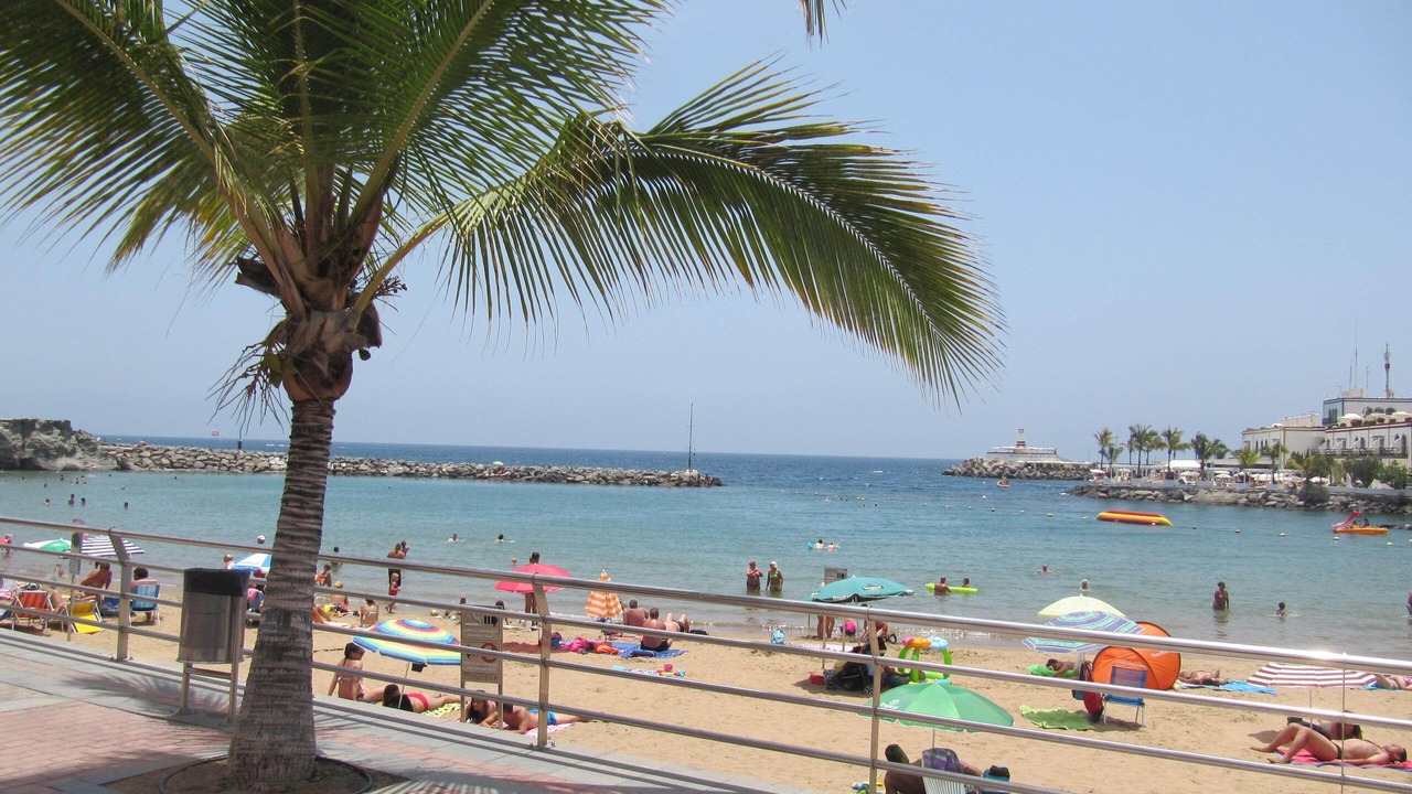 Photo of Others in Puerto de Mogan
