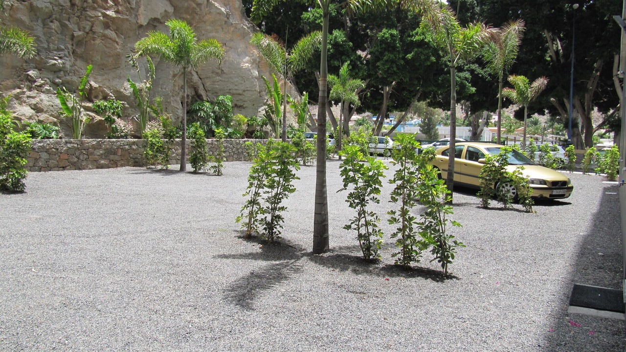 Photo of Outdoor in Puerto de Mogan