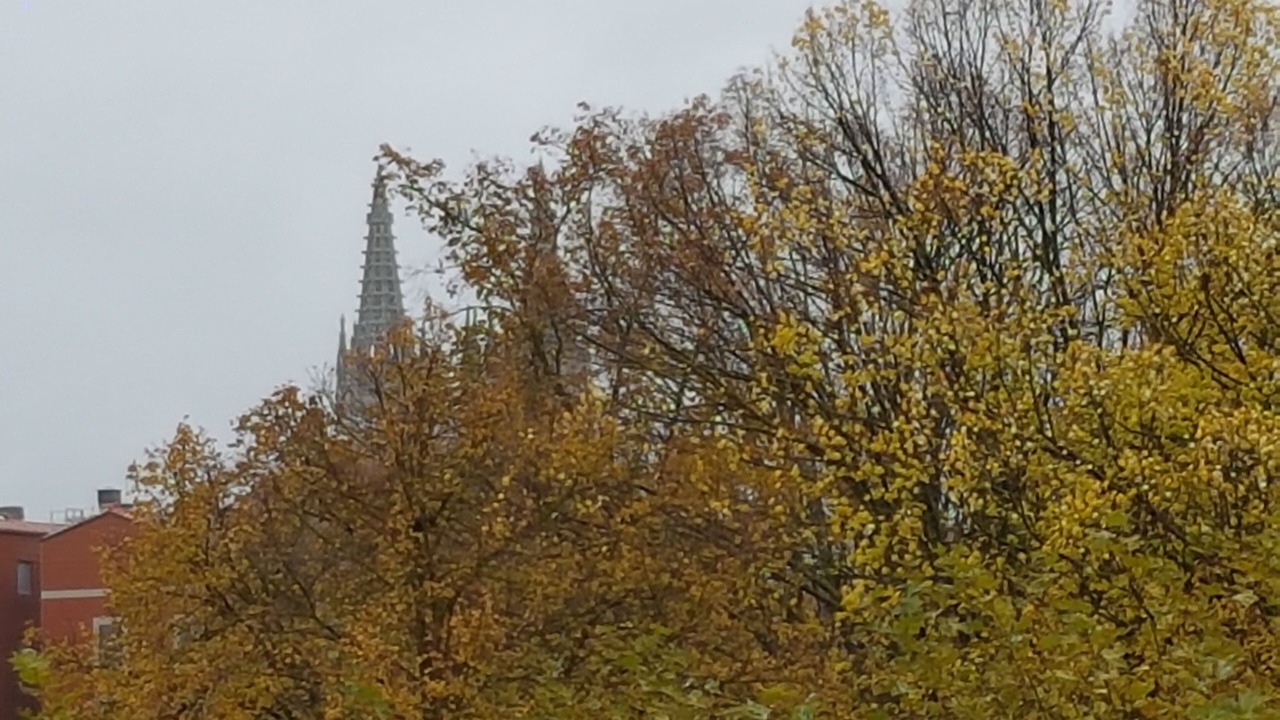 Photo of Outdoor in Burgos