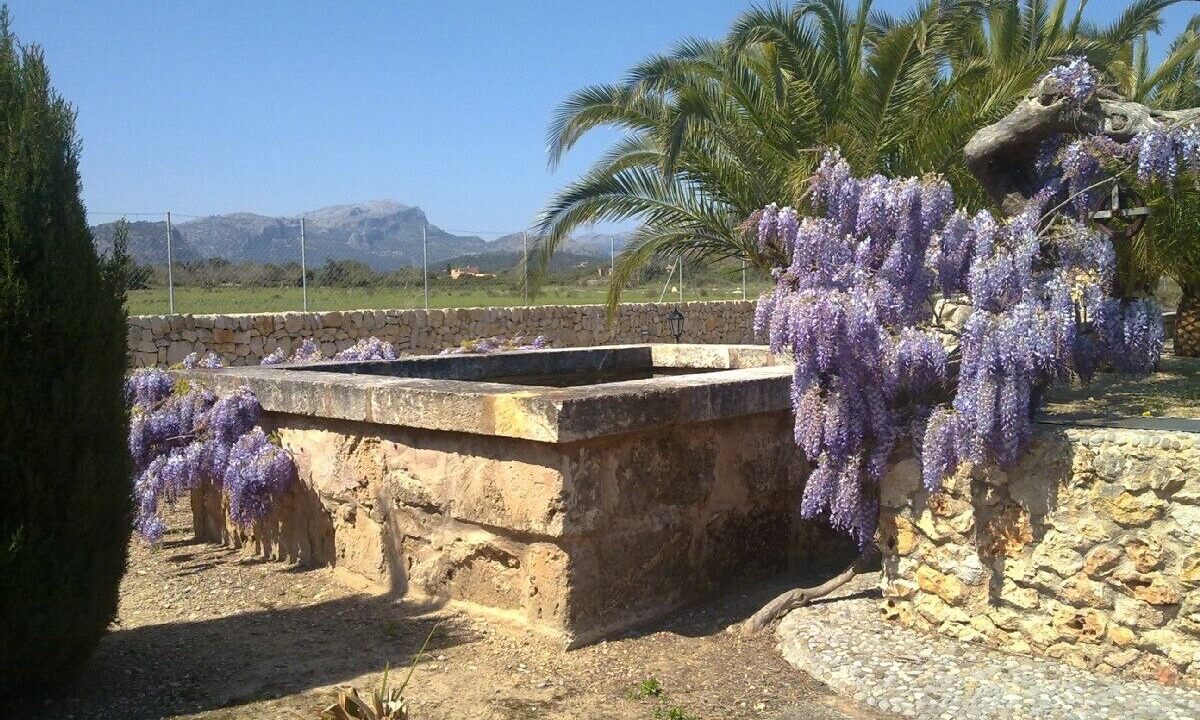 Photo of Outdoor in Puerto de Pollensa