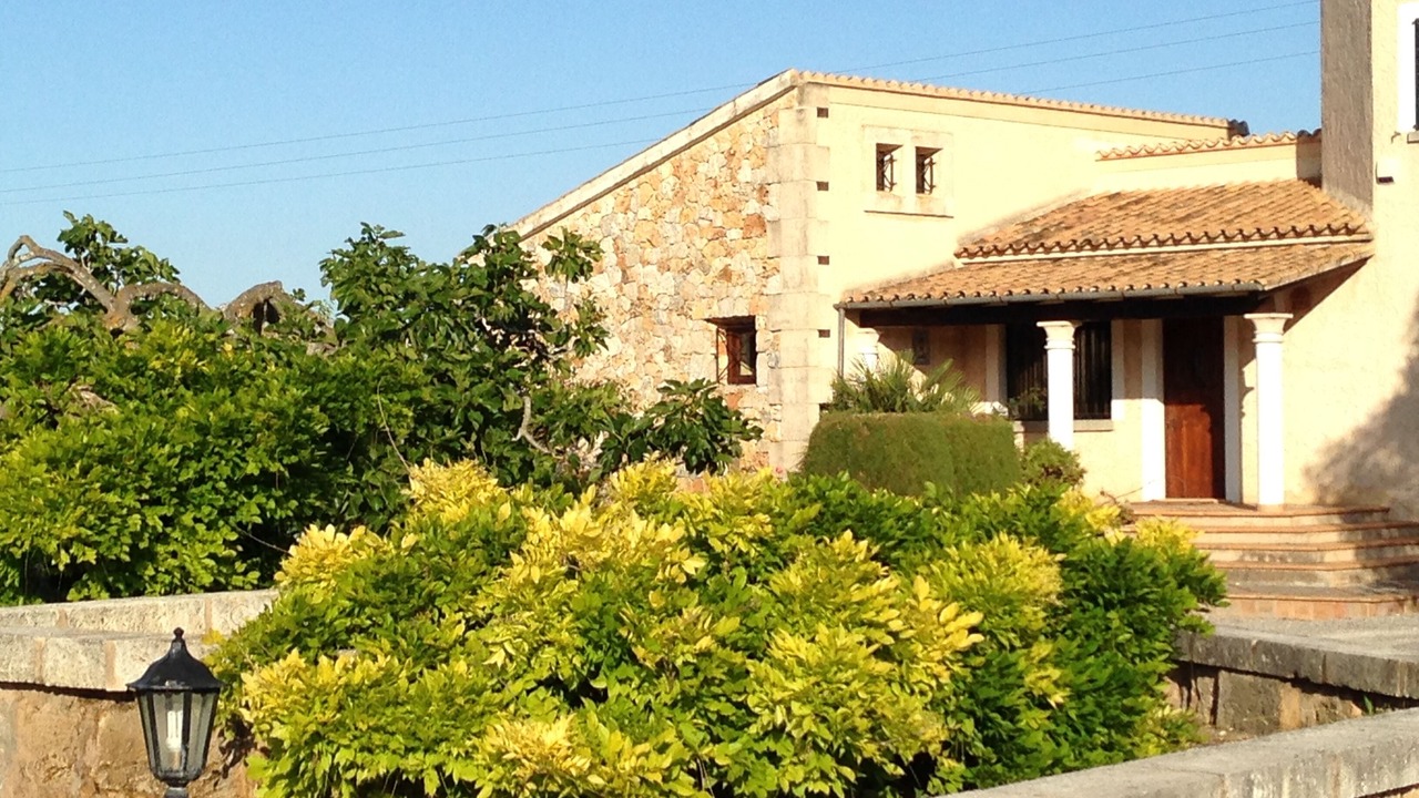 Photo of Others in Puerto de Pollensa
