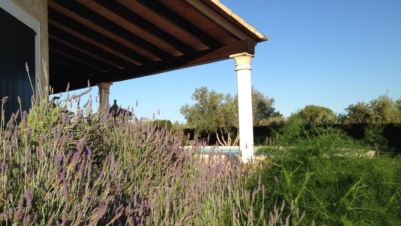 Photo of Outdoor in Puerto de Pollensa