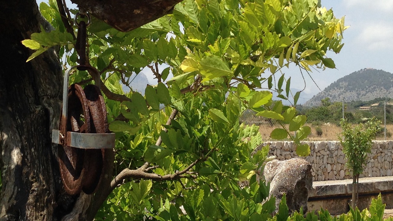Photo of Outdoor in Puerto de Pollensa