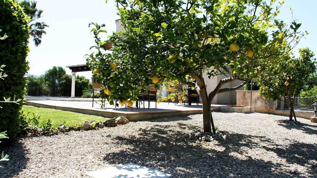 Photo of Outdoor in Puerto de Pollensa