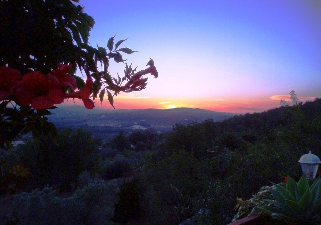 Photo of Others in Sant Miquel de Balasant