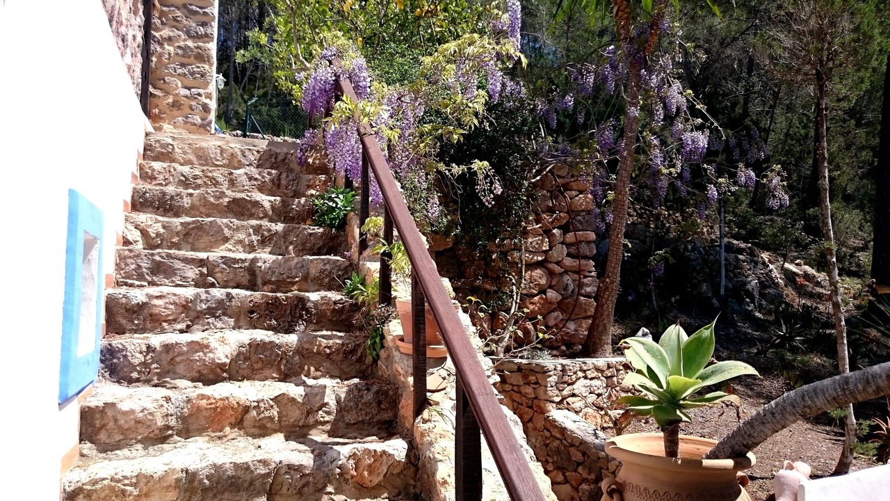 Photo of Outdoor in Sant Miquel de Balasant