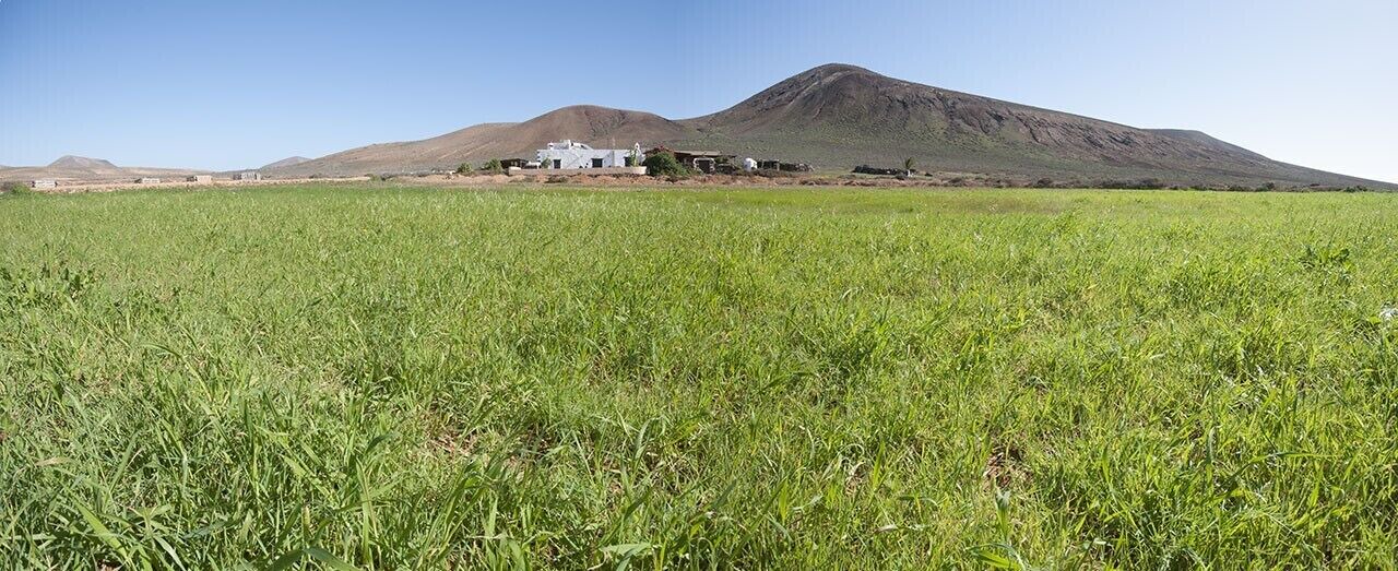 Photo of Outdoor in Teguise