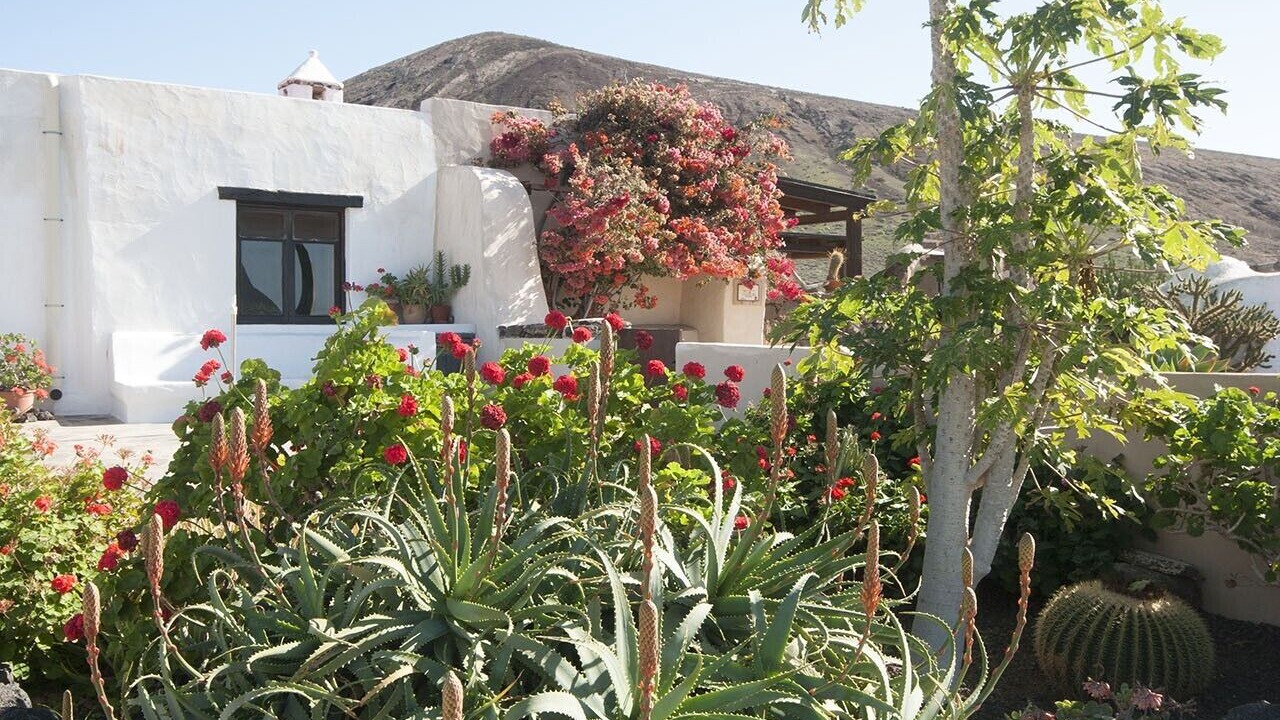 Photo of Outdoor in Teguise