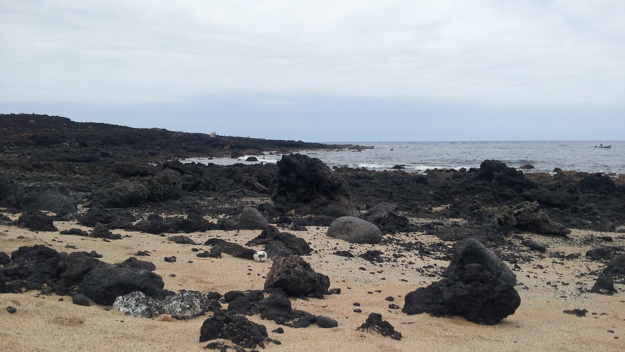 Photo of Others in Puerto de Guimar