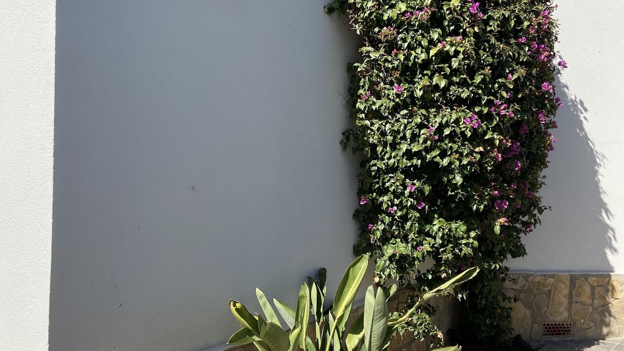 Photo of Outdoor in Molinell