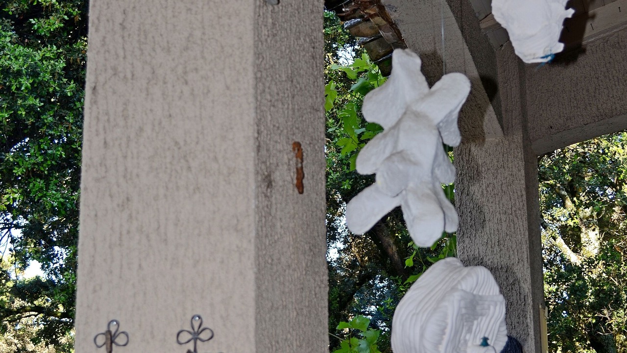 Photo of Outdoor in Villeneuve-les-Avignon