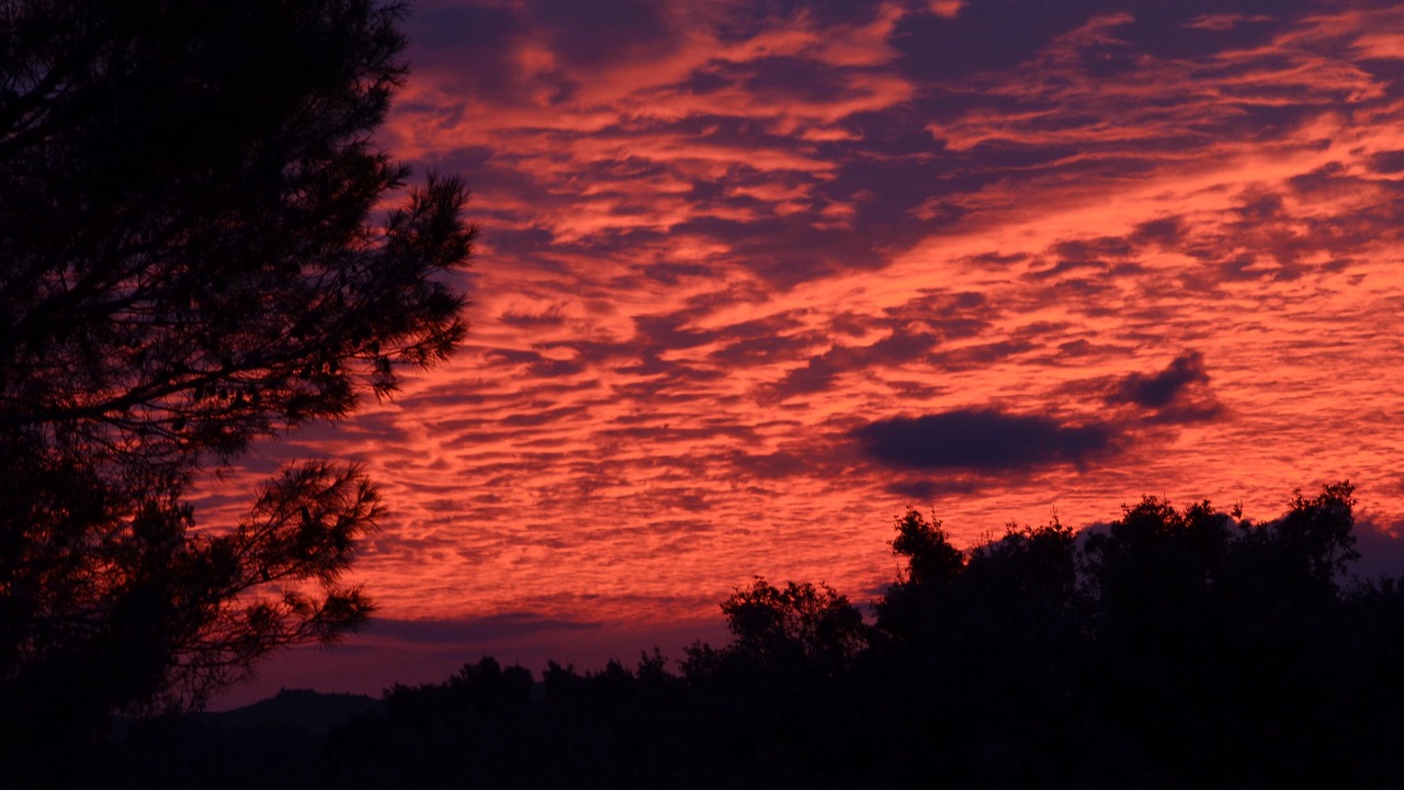 Photo of Others in Villeneuve-les-Avignon