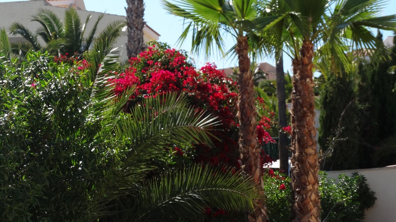 Photo of Outdoor in Coveta Fuma