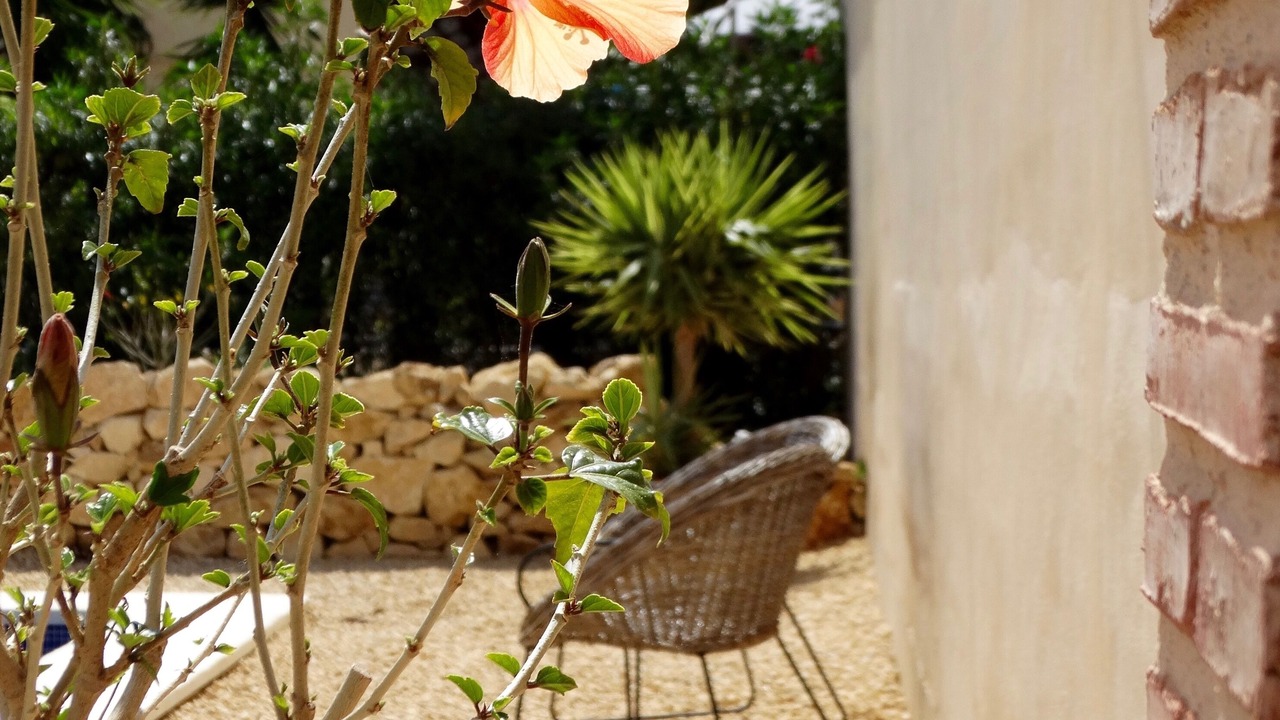 Photo of Patio Balcony in Coveta Fuma