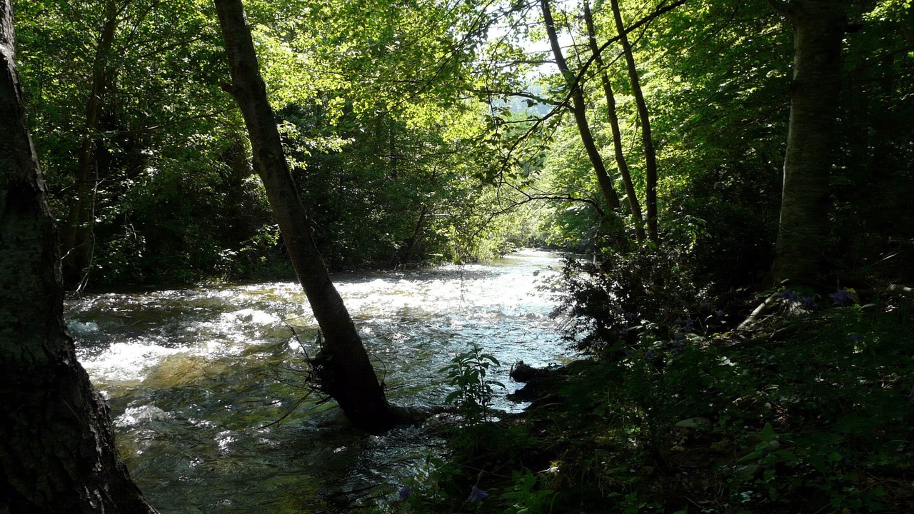 Photo of Others in Cantobre