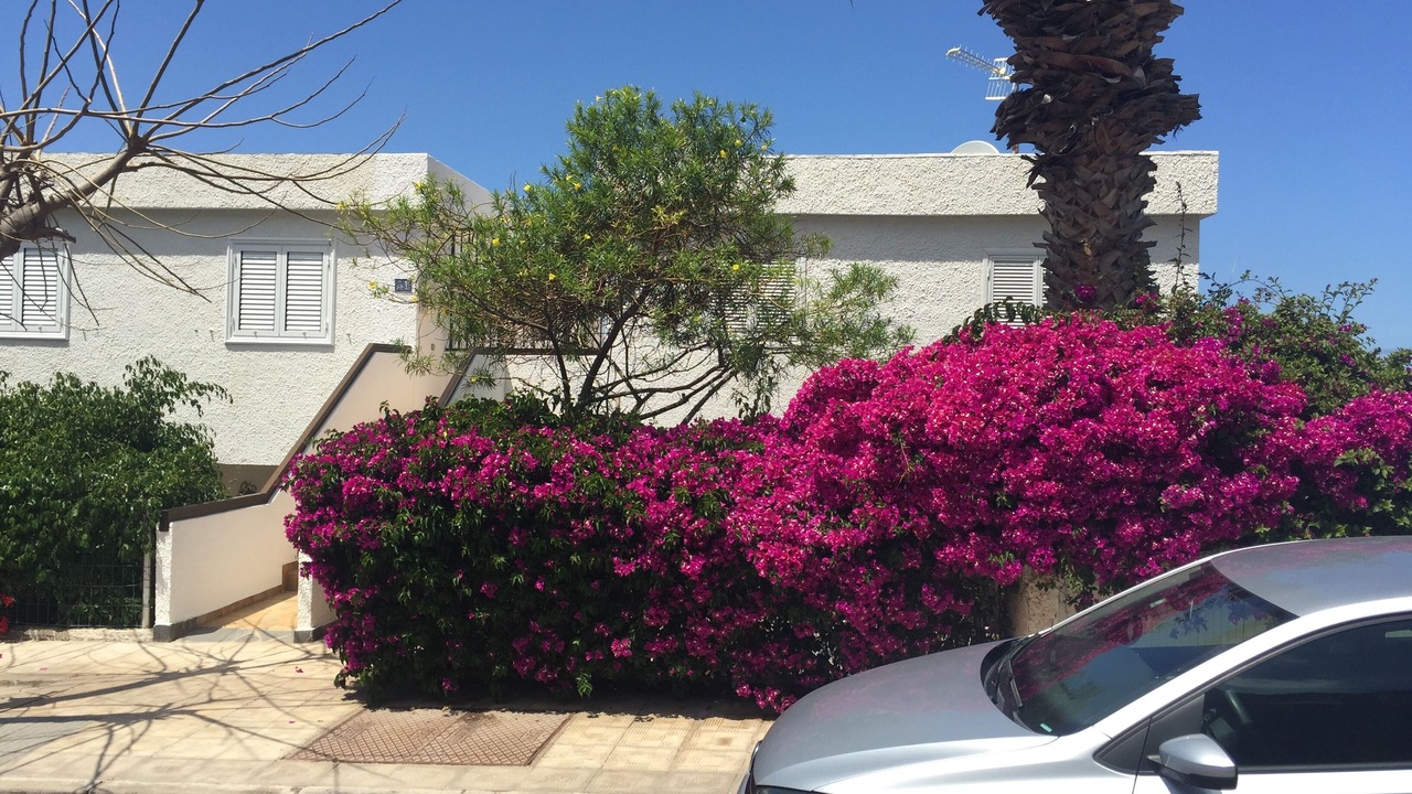 Photo of Others in Los Gigantes