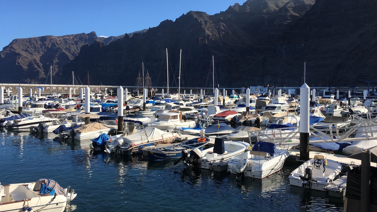 Photo of Others in Los Gigantes