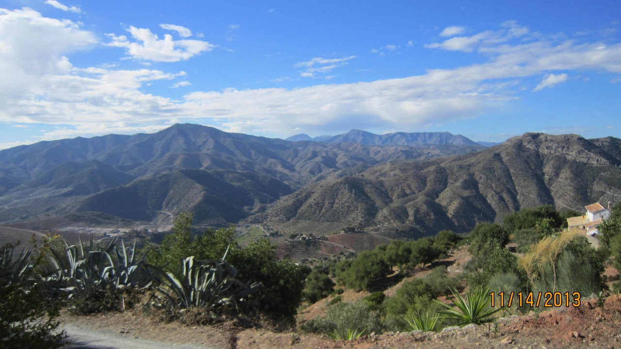 Photo of Others in Alora