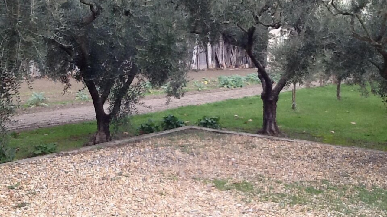 Photo of Outdoor in Chateaurenard