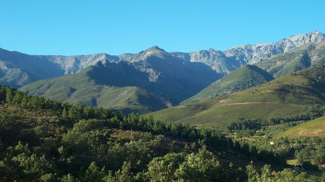 Photo of Others in Villanueva De La Vera