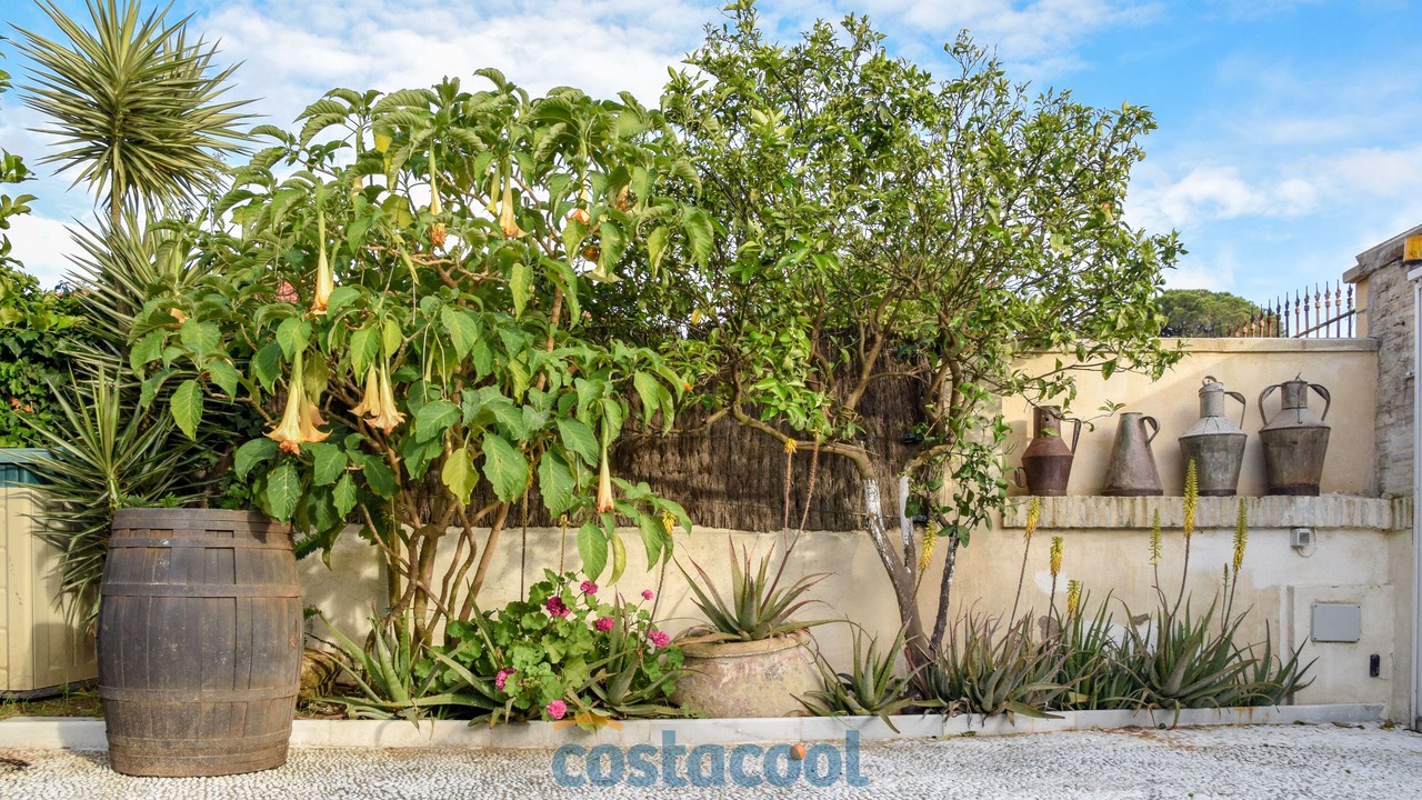 Photo of Outdoor in El Puerto de Santa Maria