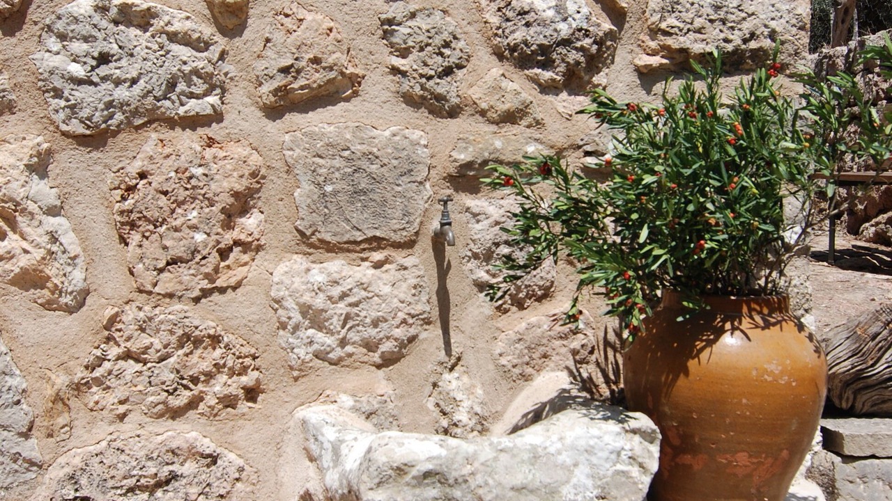 Photo of Outdoor in Fornalutx