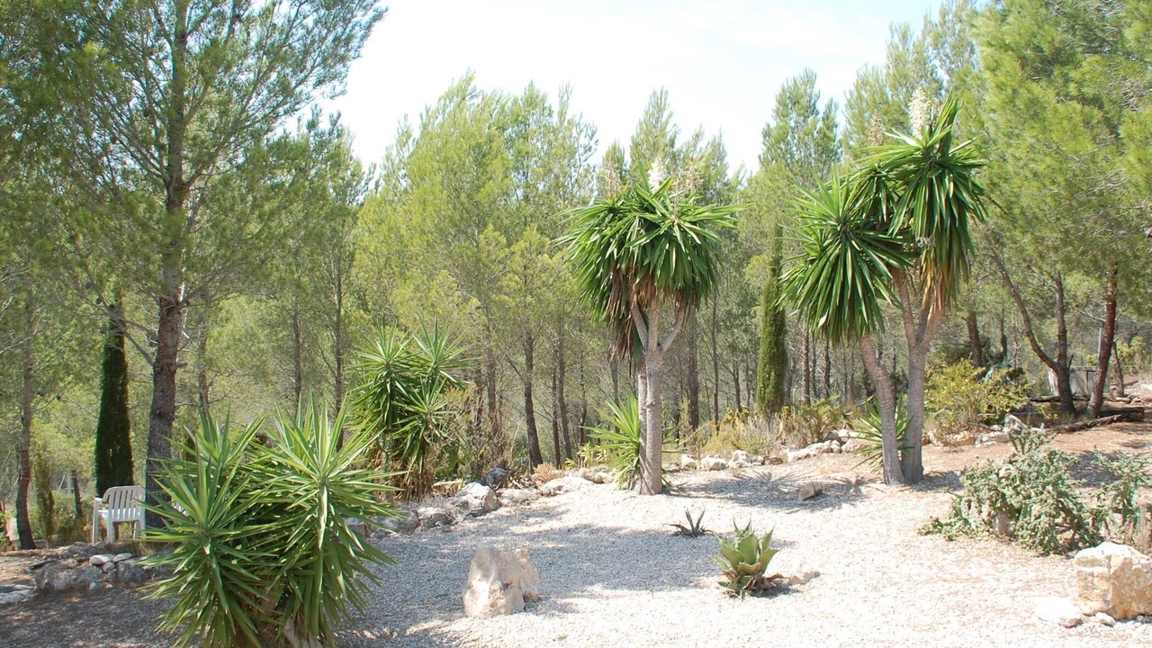 Photo of Others in L'Ametlla de Mar