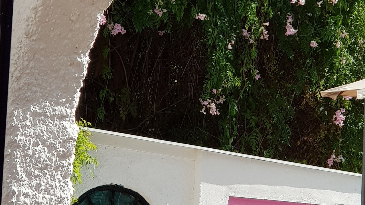 Photo of Outdoor in Mijas