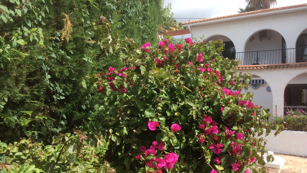 Photo of Outdoor in Mijas