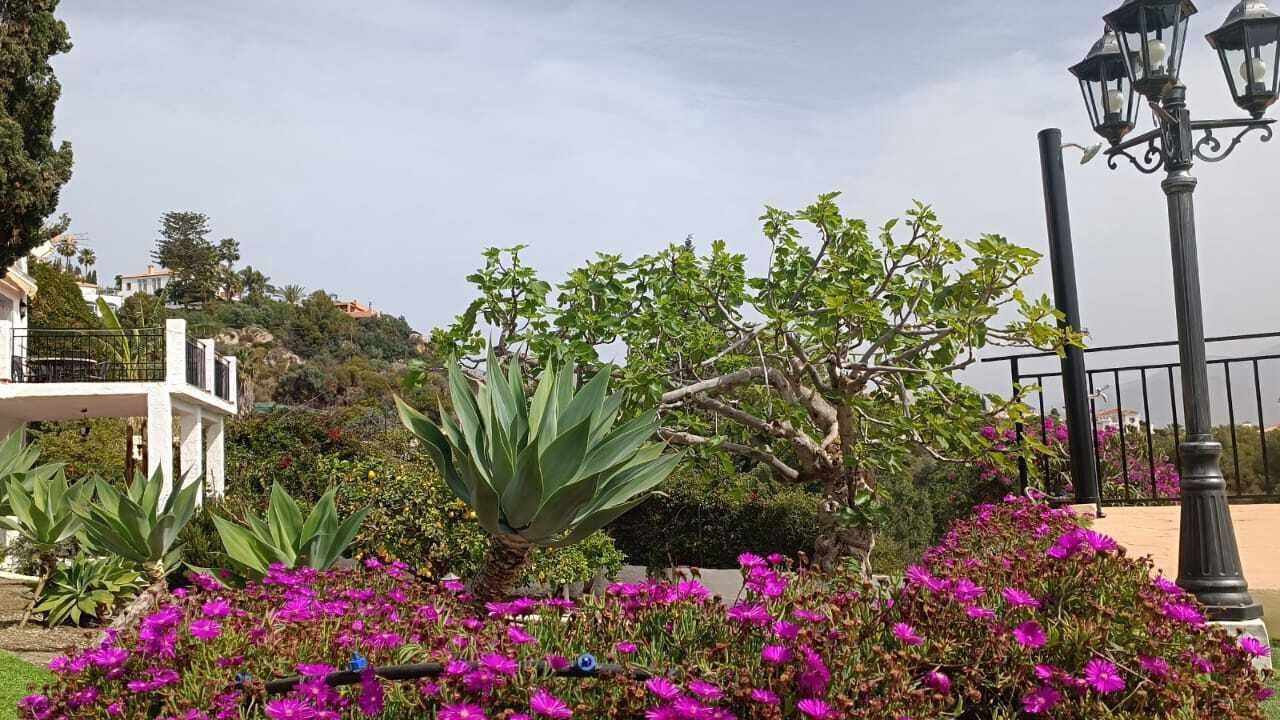 Photo of Outdoor in Salobrena
