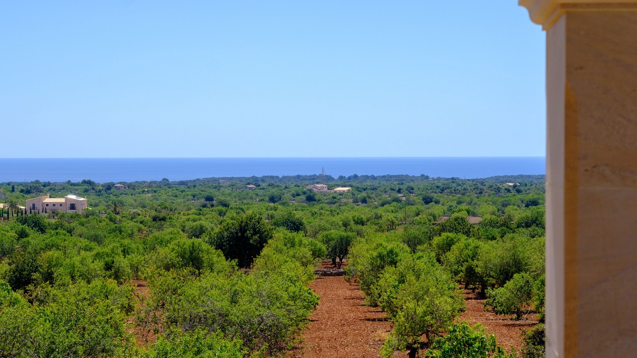 Photo of Others in S Horta