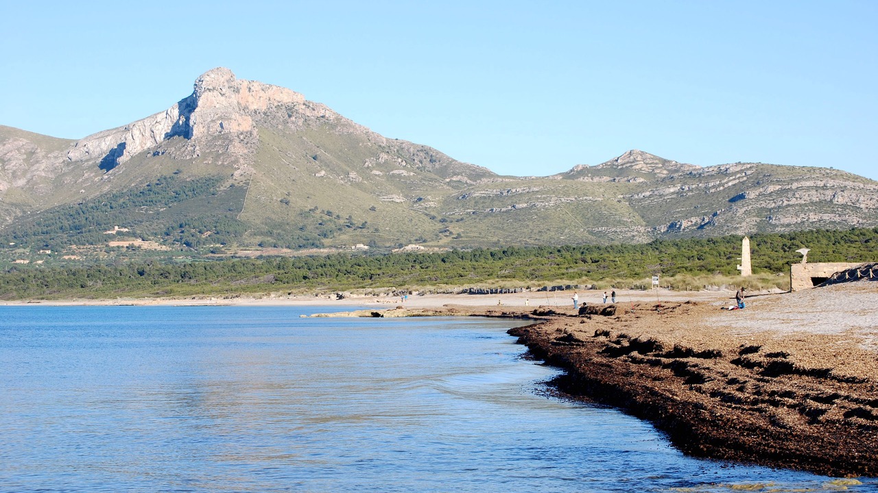 Photo of Others in Son Serra de Marina