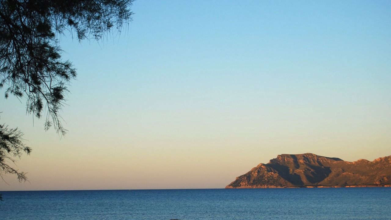 Photo of Others in Son Serra de Marina